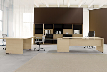 Кабинет руководителя Ekis