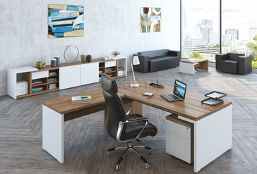 Кабинет руководителя ZION